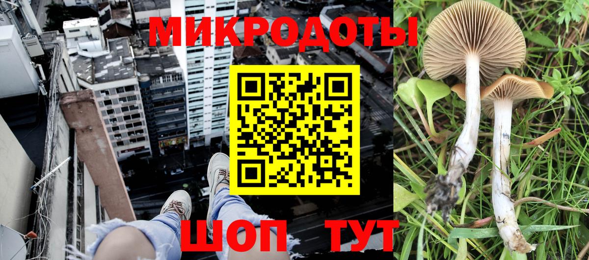 Галлюциногенные грибы Cubensis Курганинск
