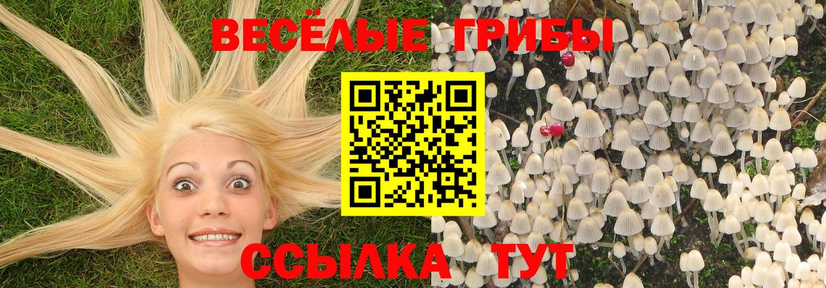 Курганинск  купить  цена  Вход с VPN  Галлюциногенные грибы мицелий  Псилоцибиновые грибы мухоморы 